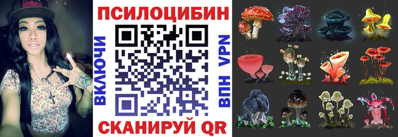 Псилоцибиновые грибы ЛСД Черняховск